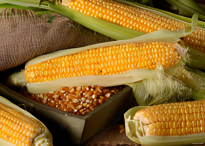 Cuplikan layar 2025-08-16 003200