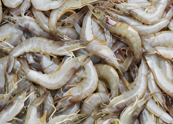 Cuplikan layar 2025-08-16 003211