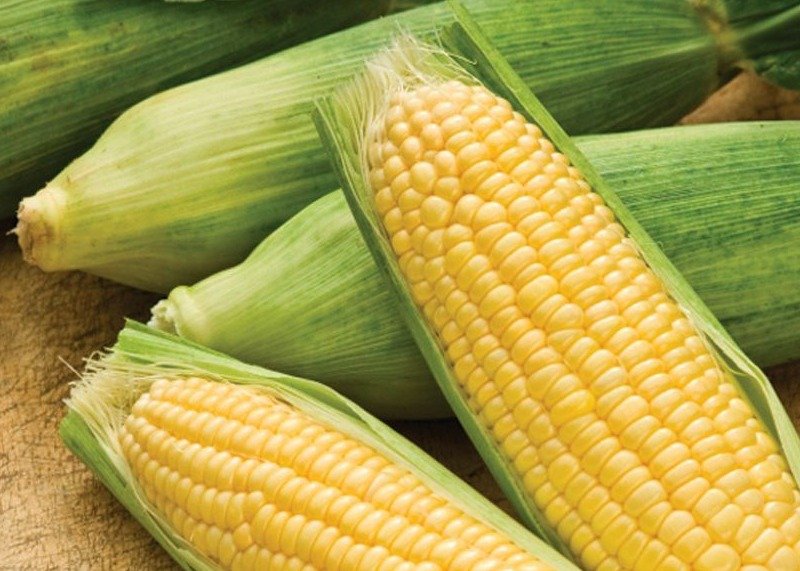 maize 2